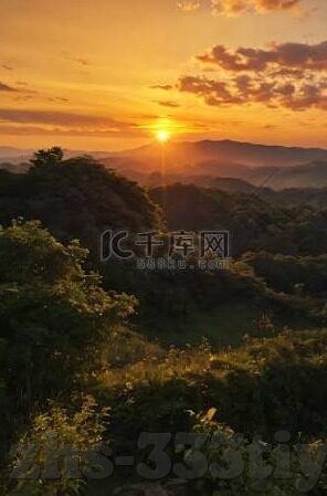 凤凰足球比分直播-凤凰足球比分直播，球迷的实时战场，激情与数据的交响曲